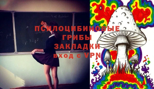 сатива Балахна