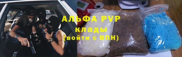 сатива Балахна