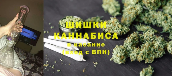 сатива Балахна