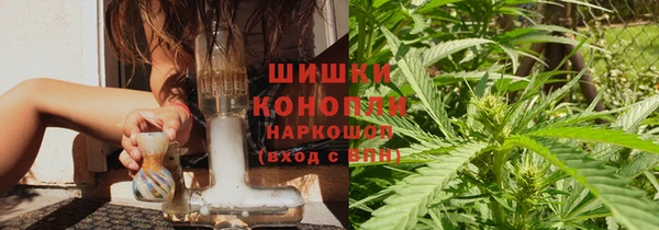 сатива Балахна