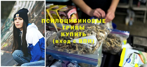 спайс Баксан