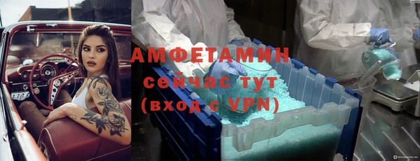 индика Белоозёрский