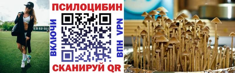Галлюциногенные грибы Psilocybine cubensis  omg как зайти  Губаха 